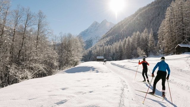 Cross-country ski trails